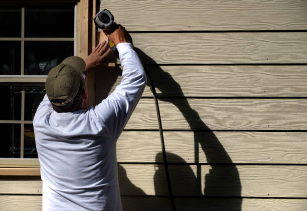 Affordable Siding Repair and Maintenance Services in La Presa, CA